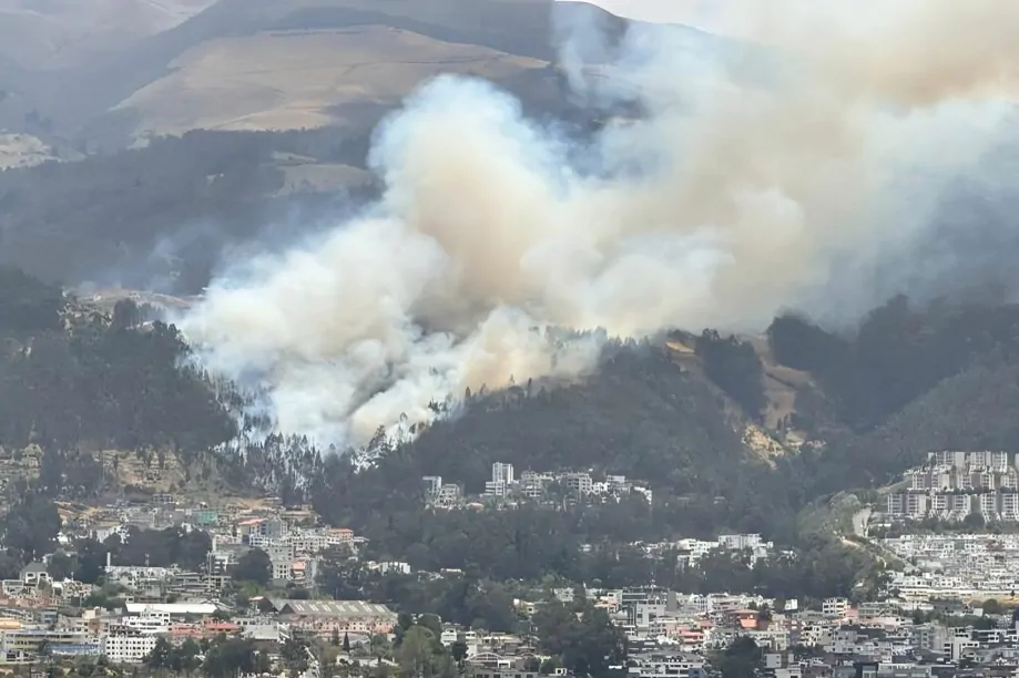 Incendios forestales Quito: Bomberos controlaron rápidamente un incendio en Nono, evitando su propagación a áreas vulnerables.