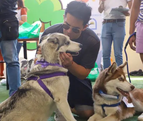 PET PARTY