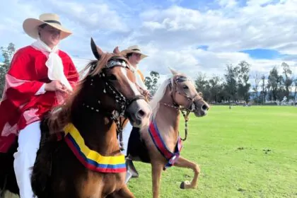 Caballo Peruano de Paso