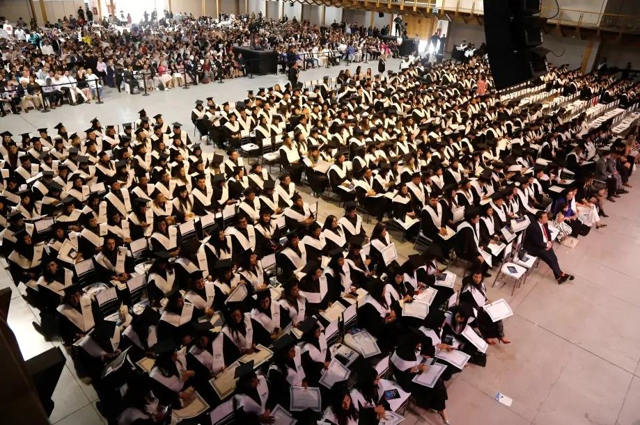 Becas Alianza