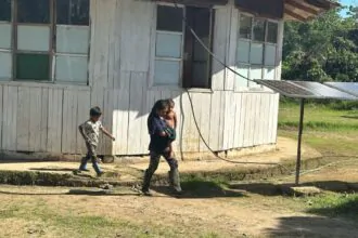 Amazonía