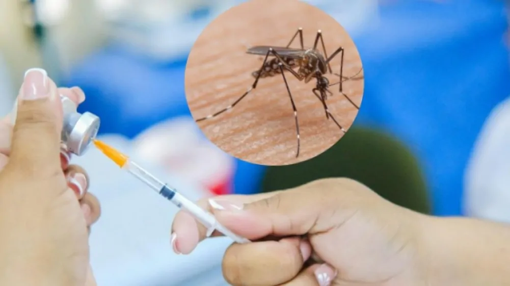 fiebre amarilla en Ecuador