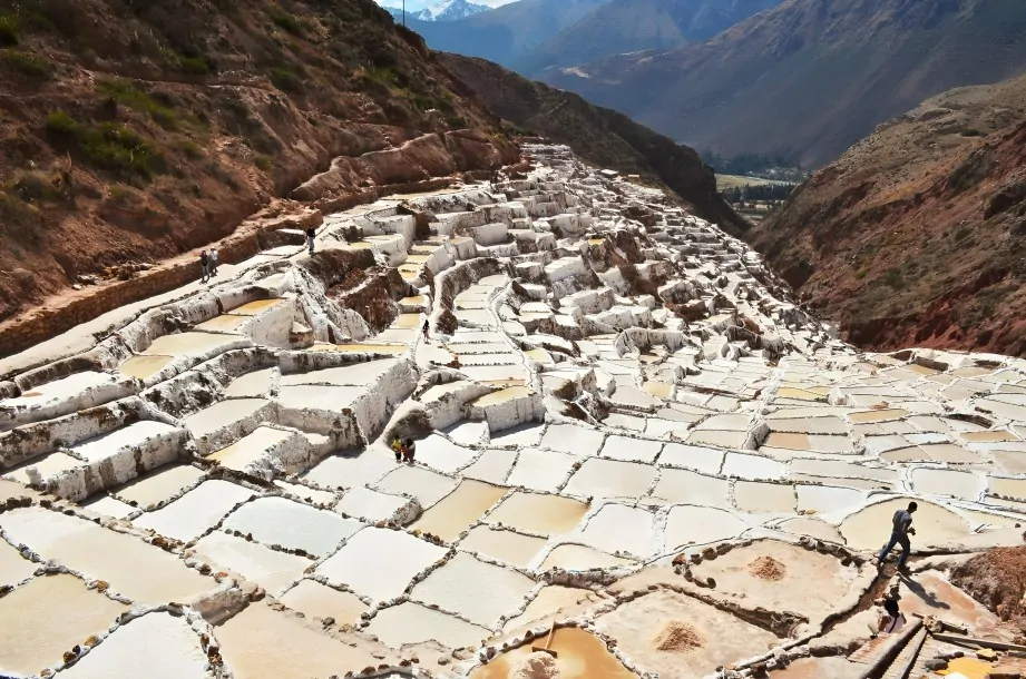 Maras