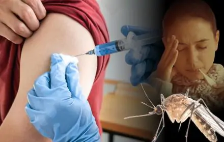 Persona vacunándose contra la fiebre amarilla, mujer con síntomas de fiebre y mosquito transmisor en primer plano.