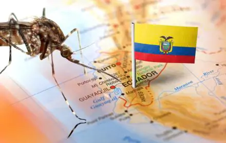 Ecuador enfrenta brote de fiebre amarilla
