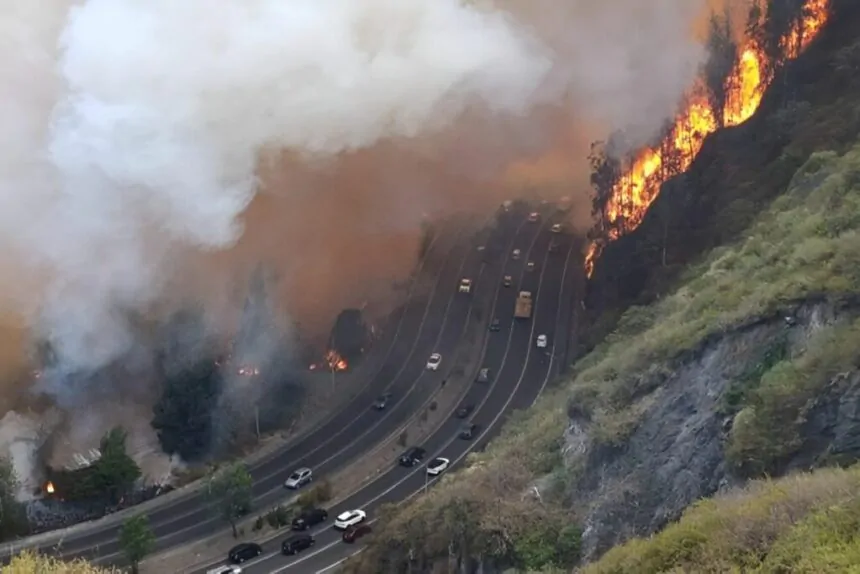 Sentencia por incendio forestal en guápulo es ratificada
