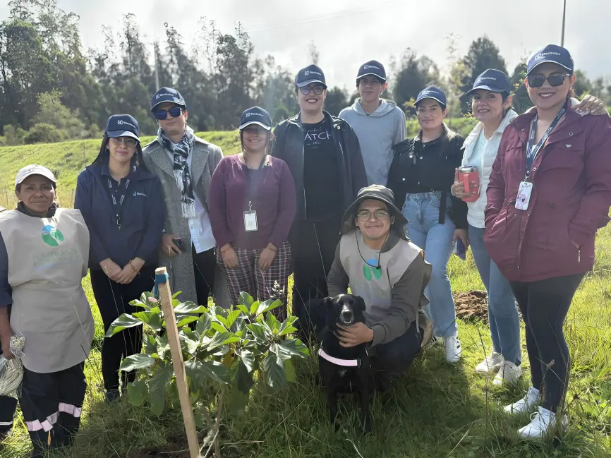 jornada de reforestación