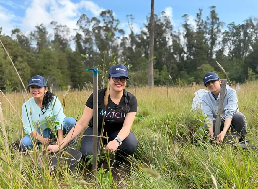 jornada de reforestación
