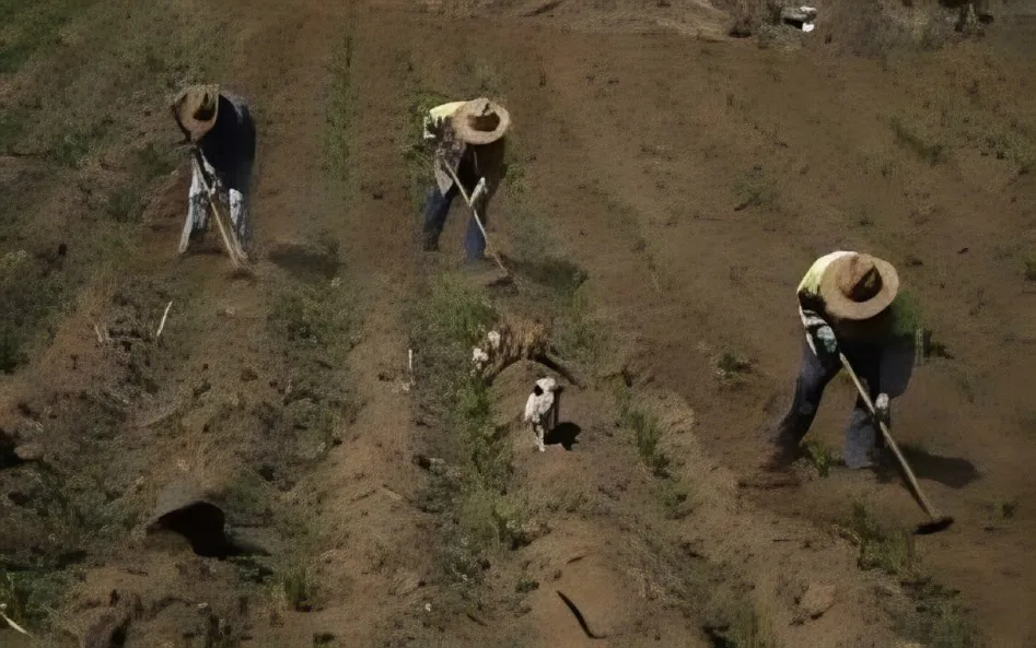 Agro
