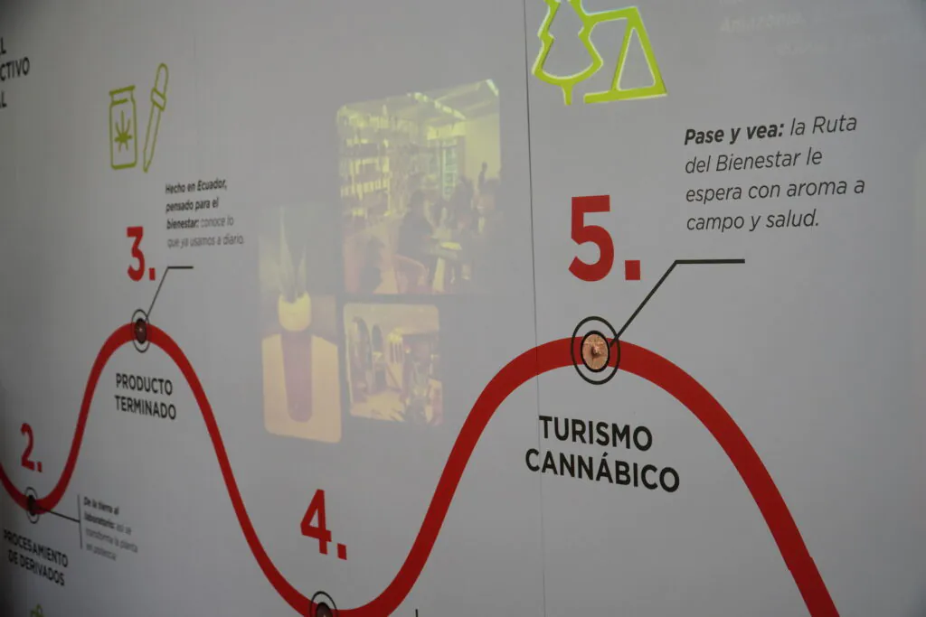 Cannabis no psicoactivo
