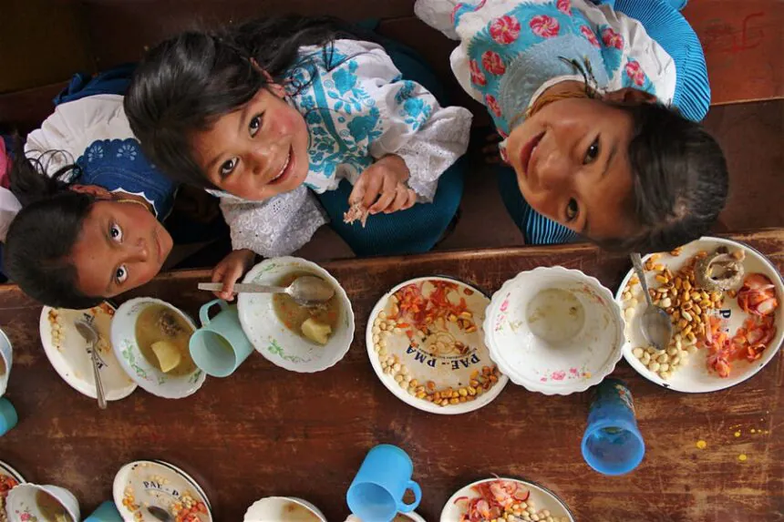 programas de alimentación