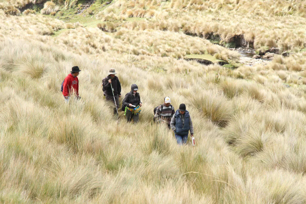 Tempore del Qhapaq Ñan