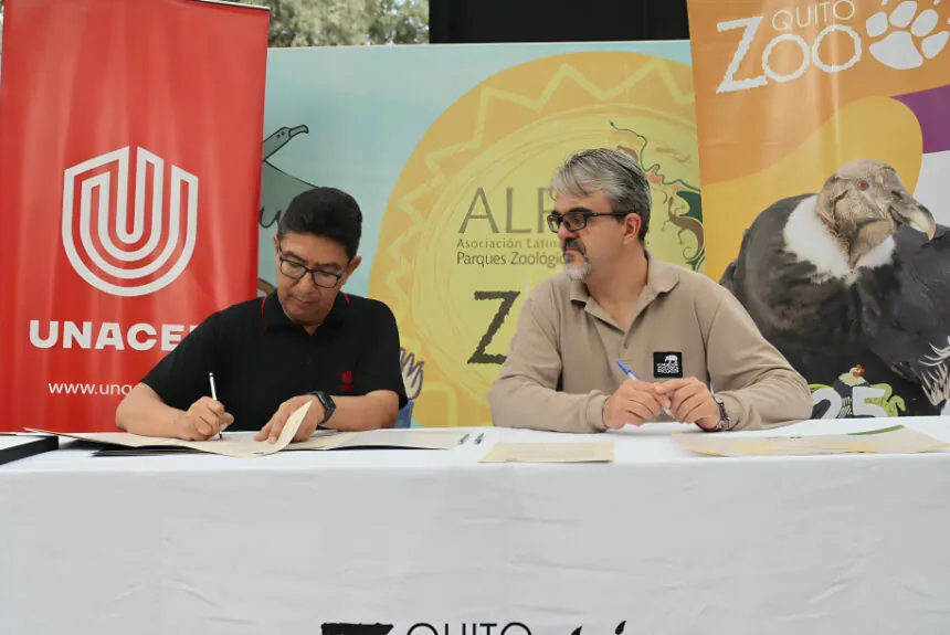 UNACEM Ecuador contribuye al Zoológico de Quito con cemento para construir el nuevo hábitat de la osezna andina rescatada Sisa.