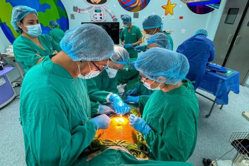 cirugía fetal