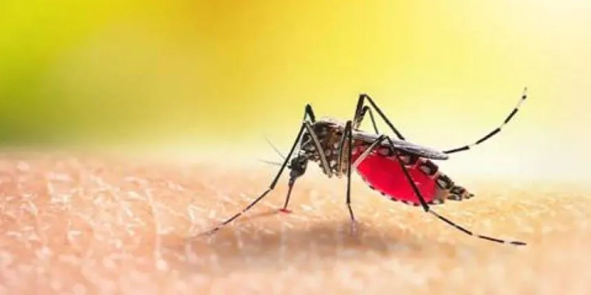 prevenir la malaria