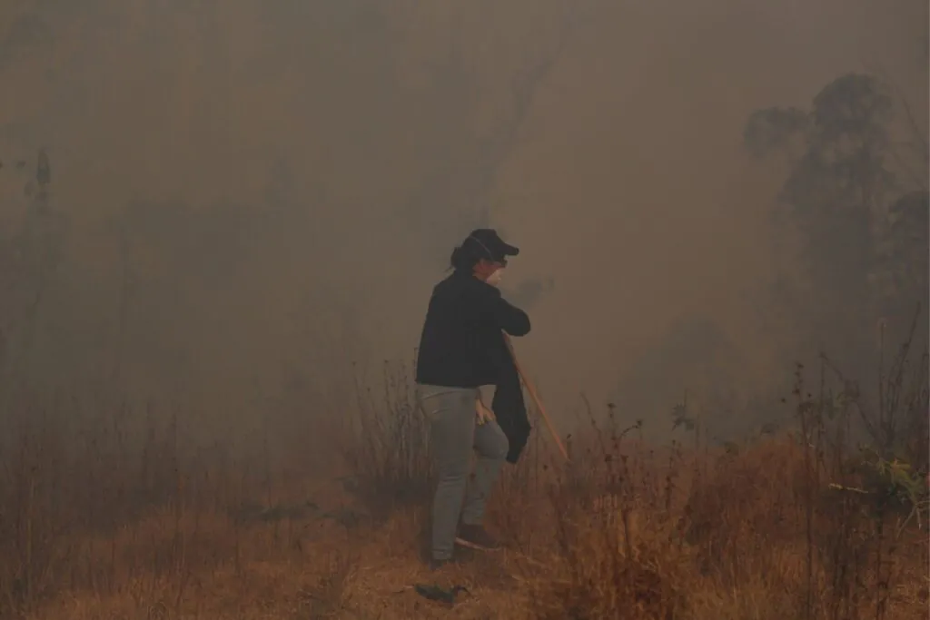 incendios forestales